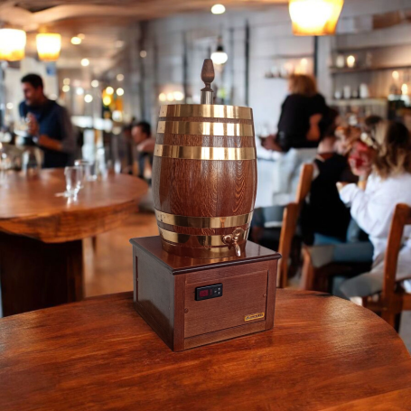 BV-1 6 litros de capacidad, ideal para ambientes intimos, donde degustar, una buena copa de vino en su grado perfecto